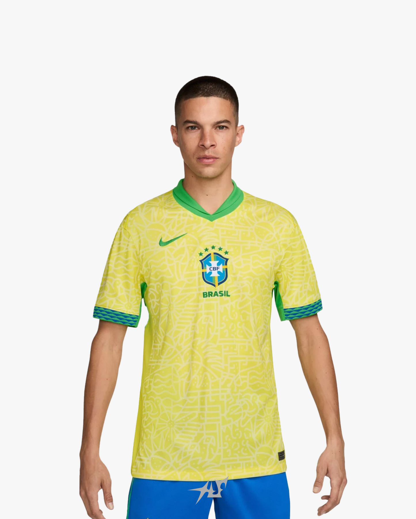 BRÉSIL DOMICILE 2024