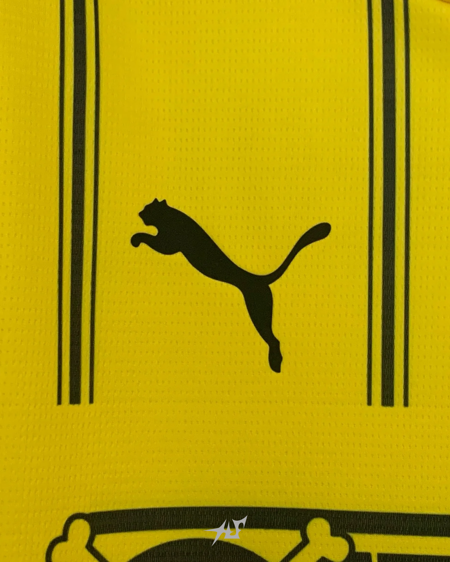 ÉDITION ONE PIECE DE DORTMUND