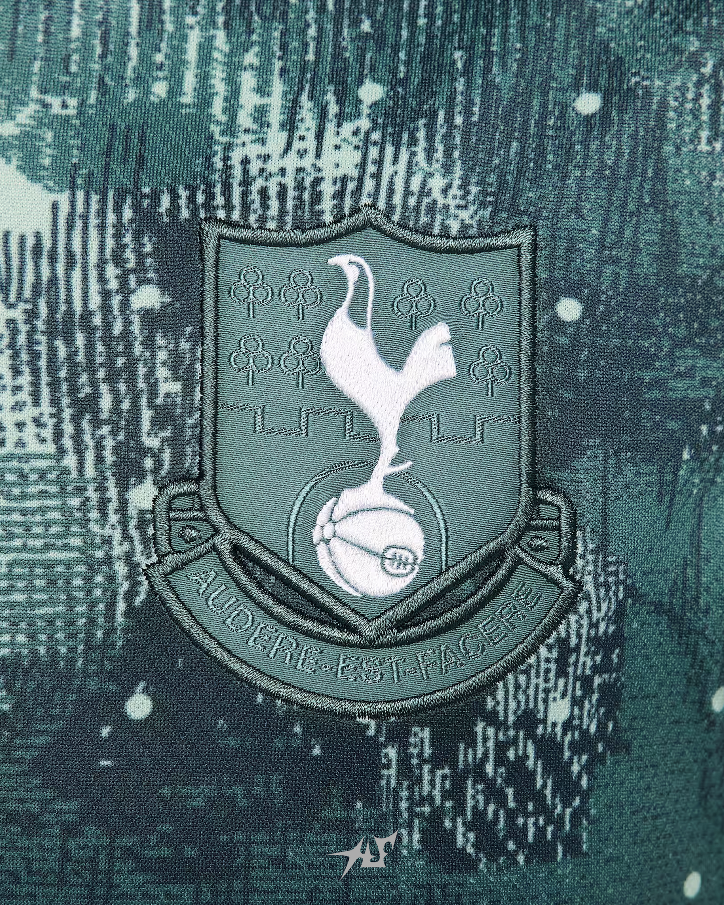 TOTTENHAM TROISIÈME 2024