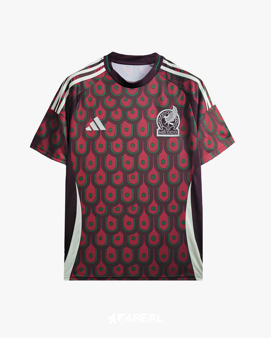 MEXIQUE DOMICILE 2024
